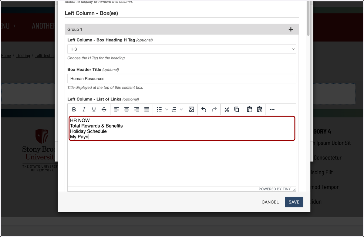 WYSIWYG list area showing multiple link titles entered on separate lines (no bullets).