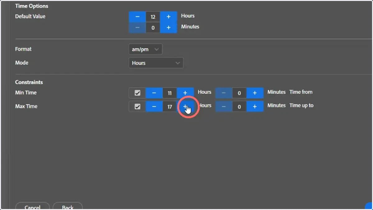 Optionally, set constraints on the earliest and latest times available for selection