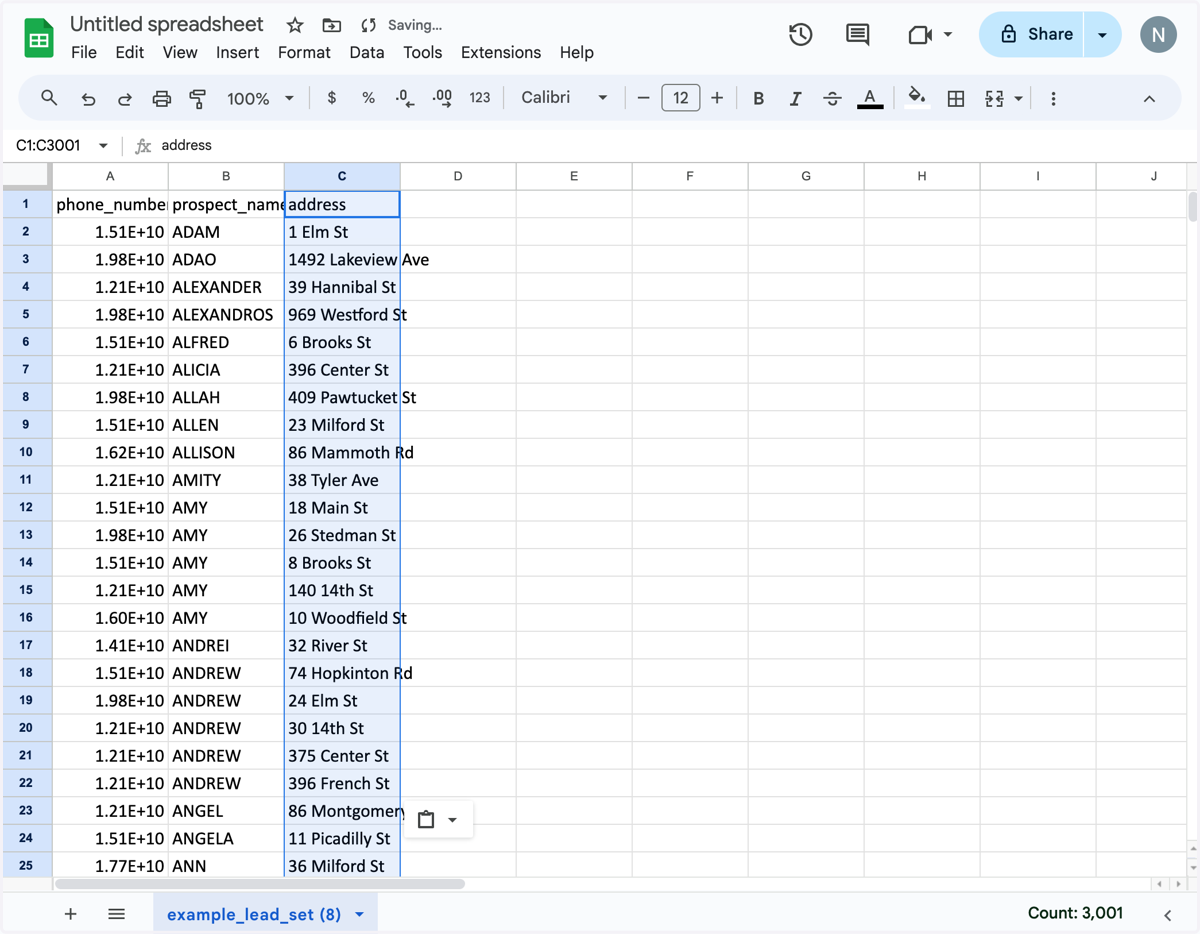 For now, type in only 1 or 2 numbers for John and Jane Doe (e.g. your own and a family member). Click 'File,' 'Download,' and select 'CSV.'