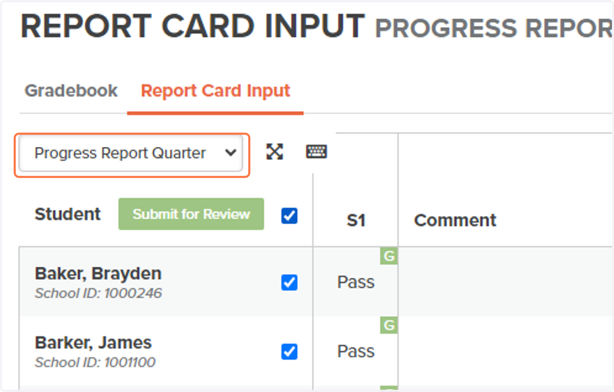 Toggle to the Progress Report / Report Card you want to input grades to