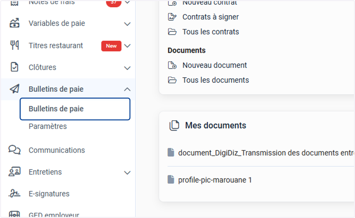 Aller sur l'onglet "Bulletins de paie"
