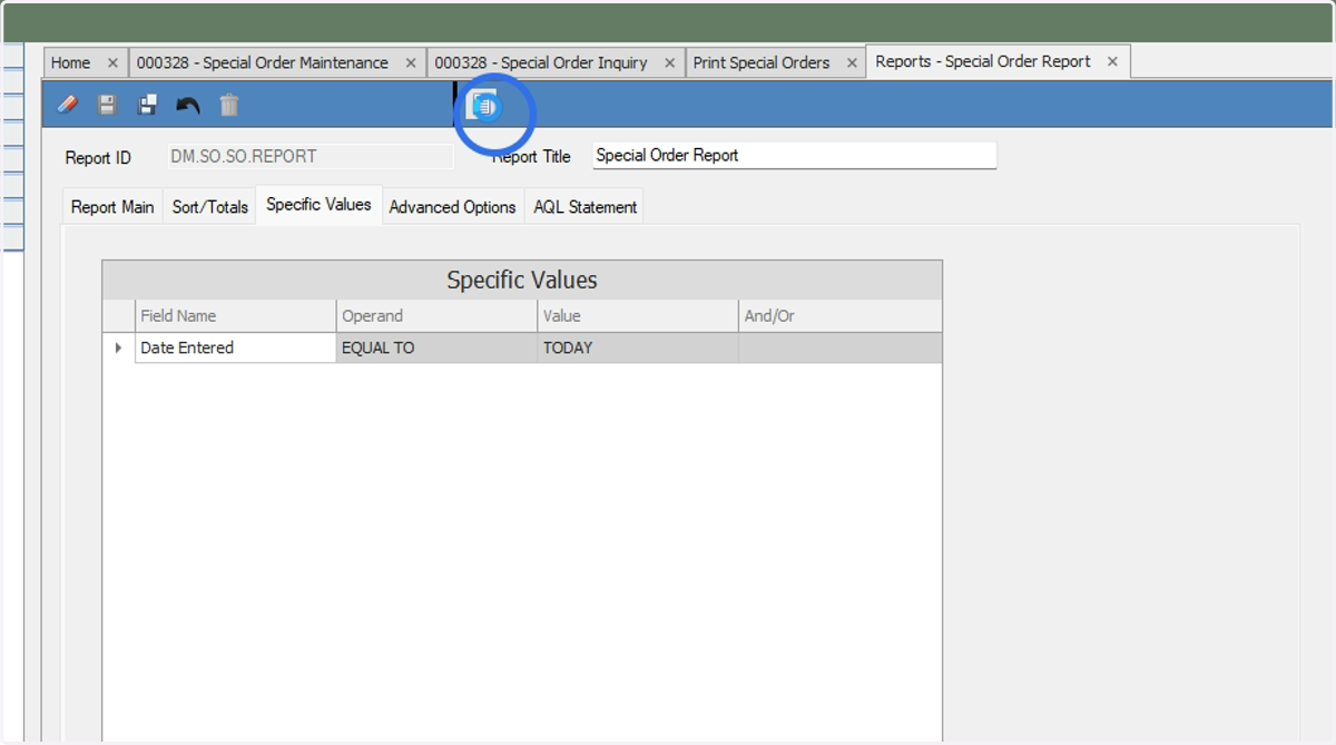 By default, the report will show special orders initiated on today's date