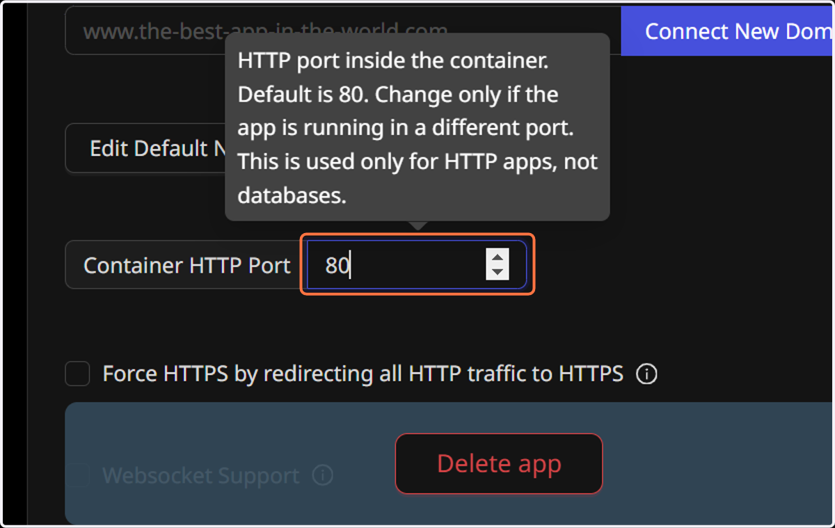 Type the container port where your container will run