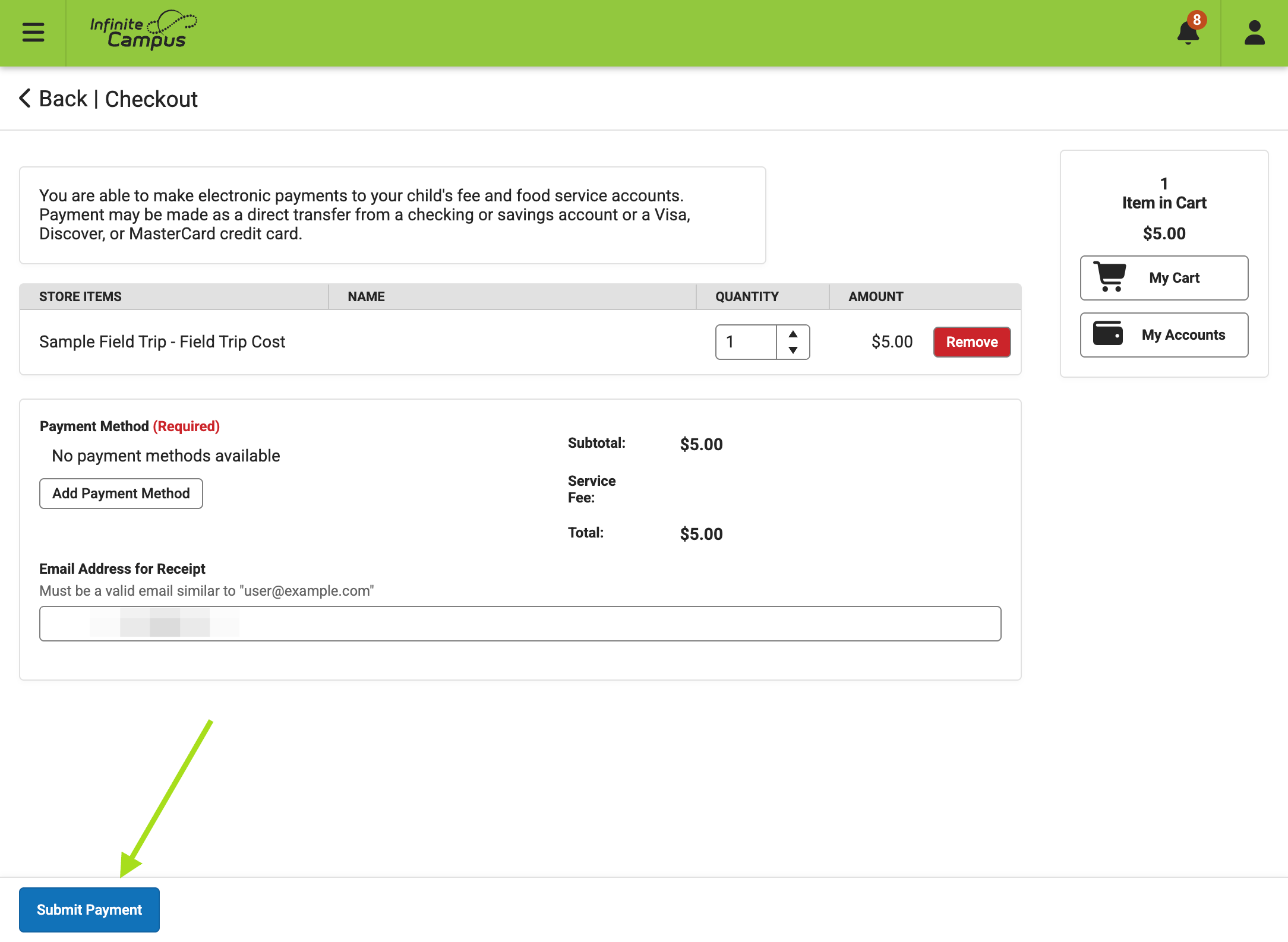A. Click on Payment Option or Add a Payment Method B. Enter the email address for the receipt and click on Submit Payment