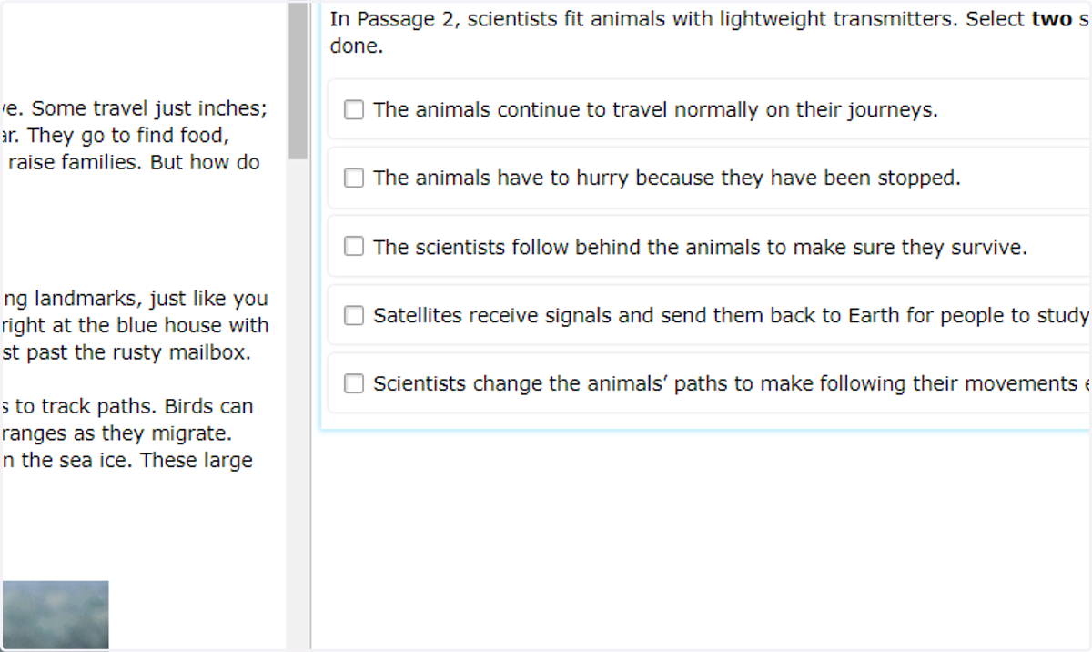 Click on Item Score to check your answer.