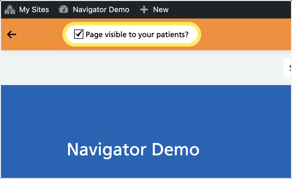 The Page visible to your patients? tickbox with a tick visible.