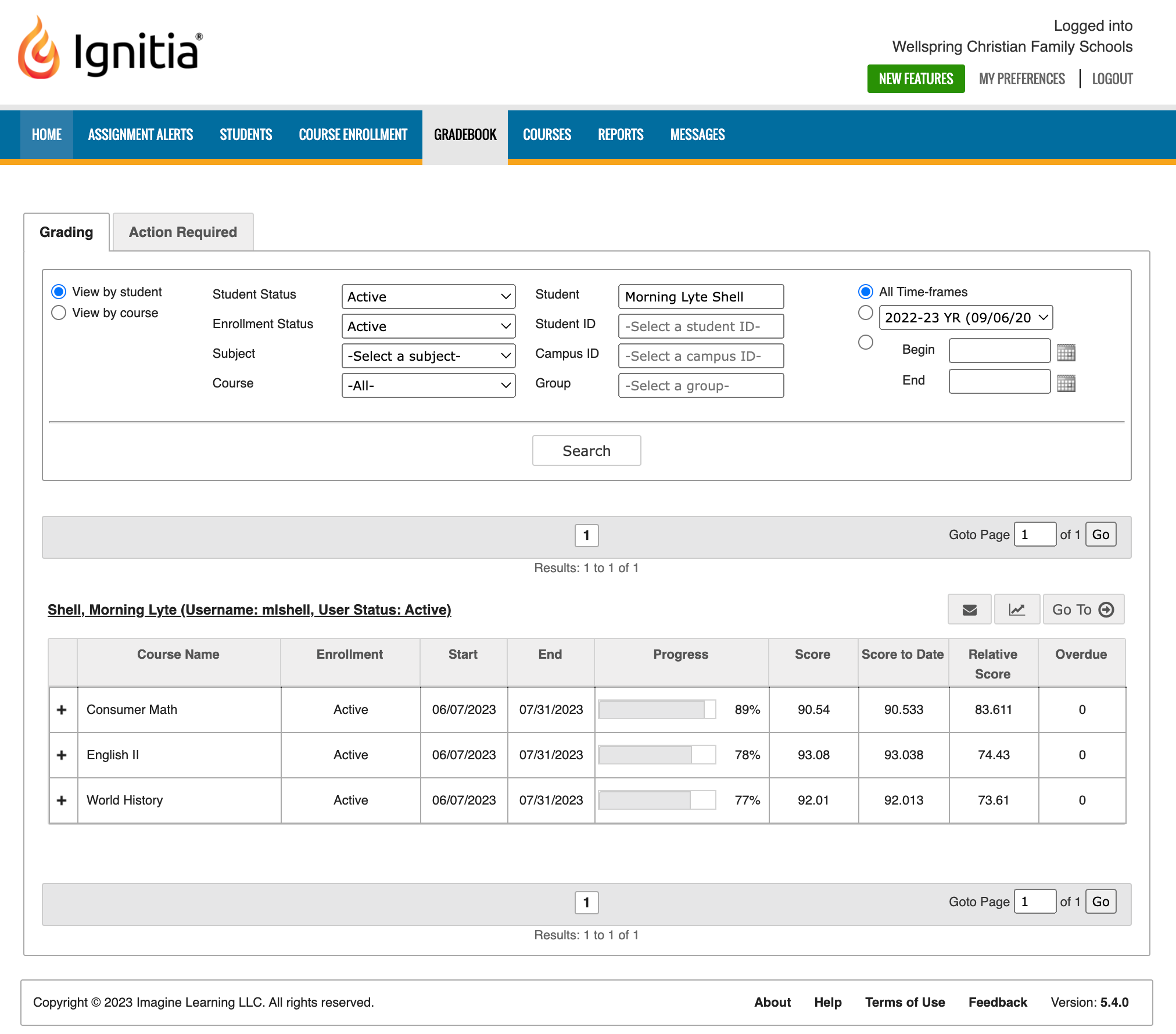 The system will automatically filter for that student and take you directly to their gradebook.