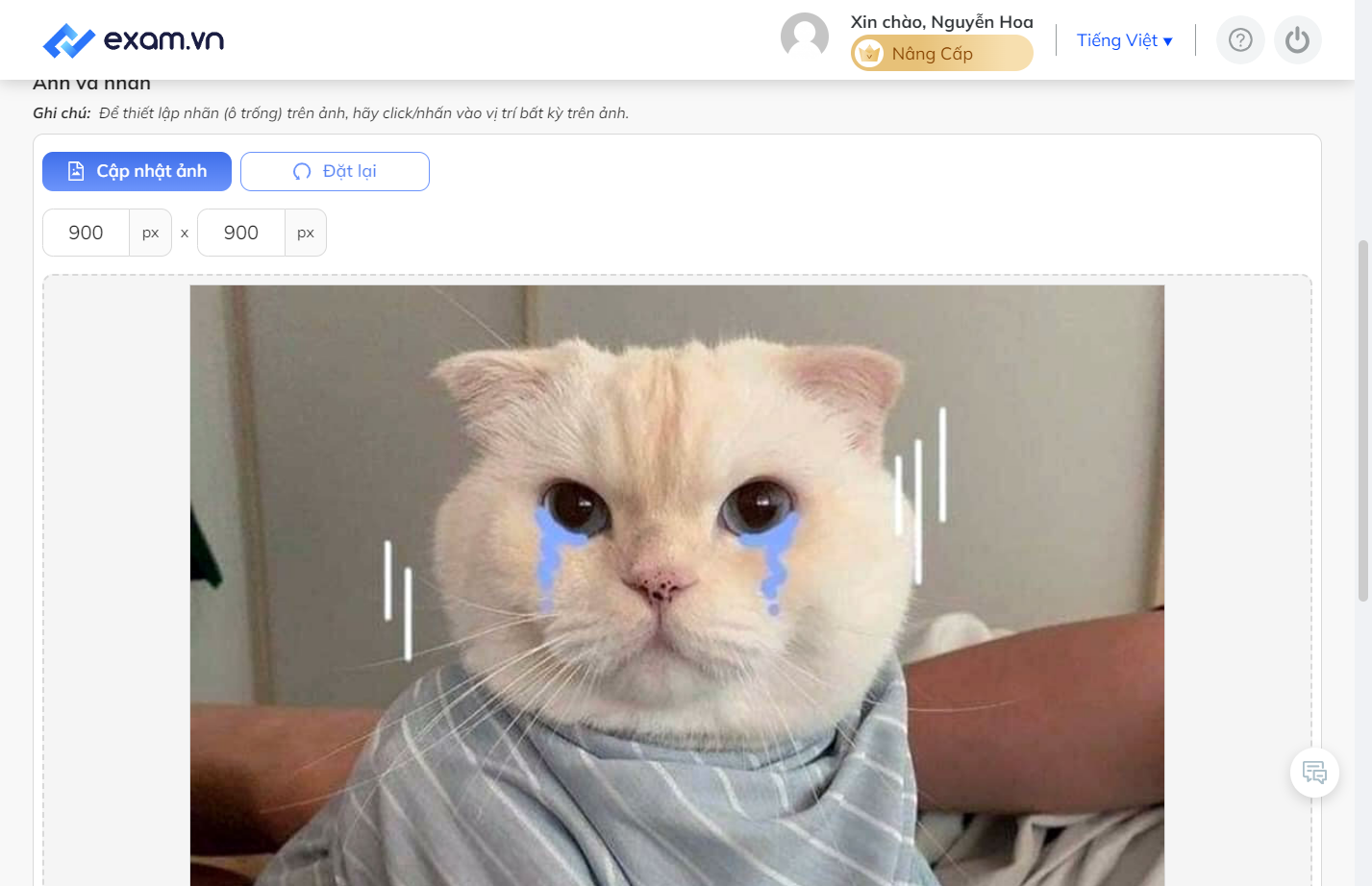 Màn hình khi hình ảnh đã được upload