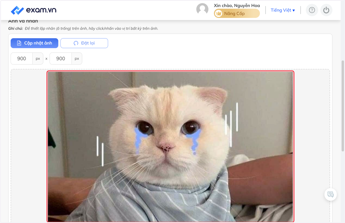 Màn hình khi hình ảnh đã được upload