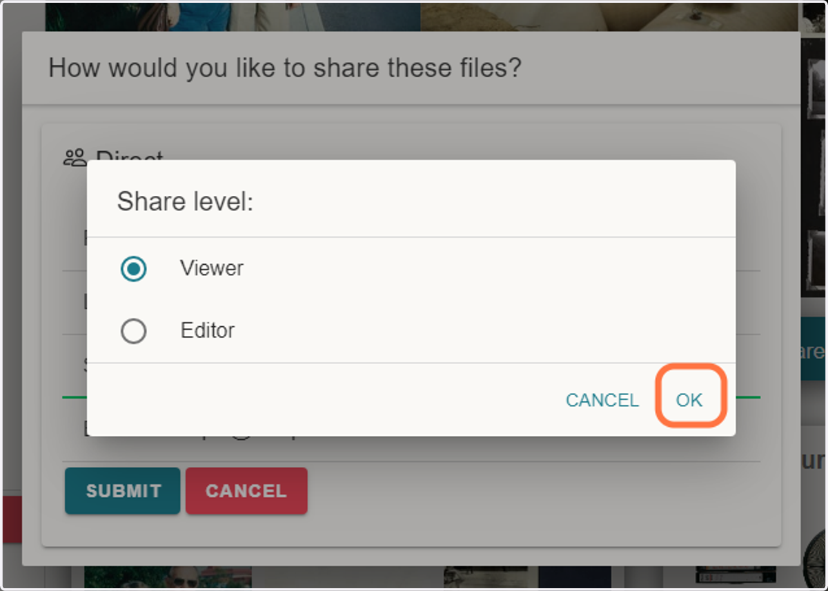 After selecting either "Viewer" or "Editor", click on 'OK'
