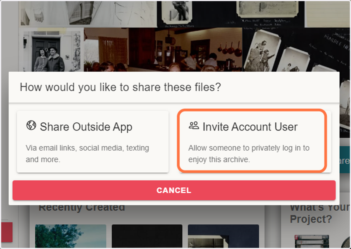 Choose between 'Share Outside App' or 'Invite Account User'