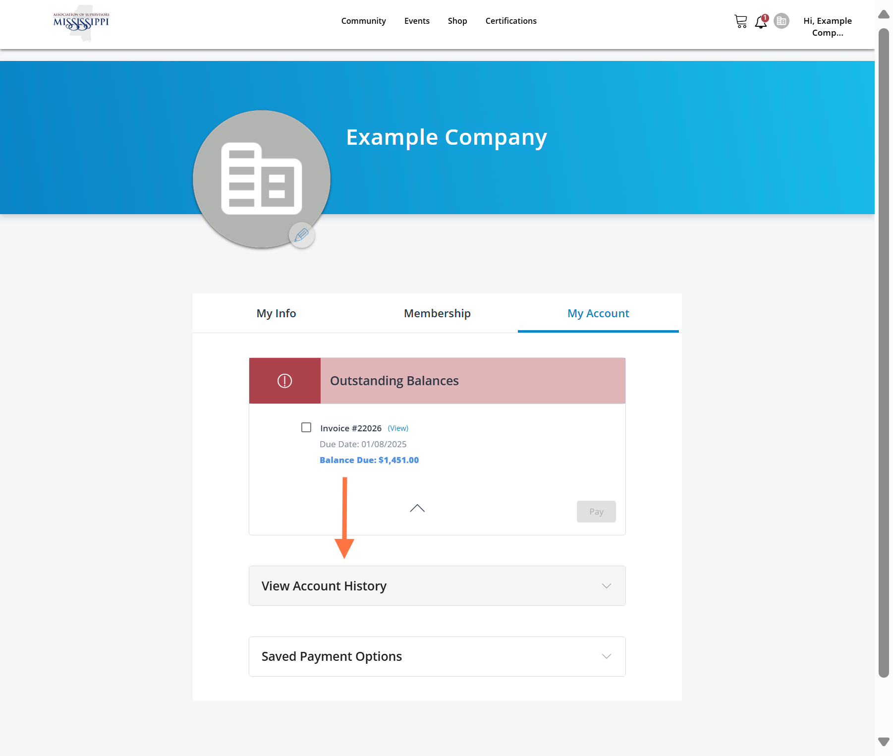 Click on "View Account History"