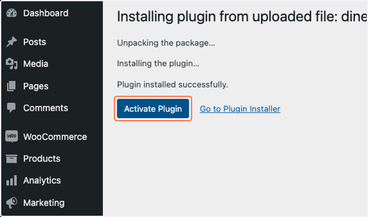 Click on Activate Plugin