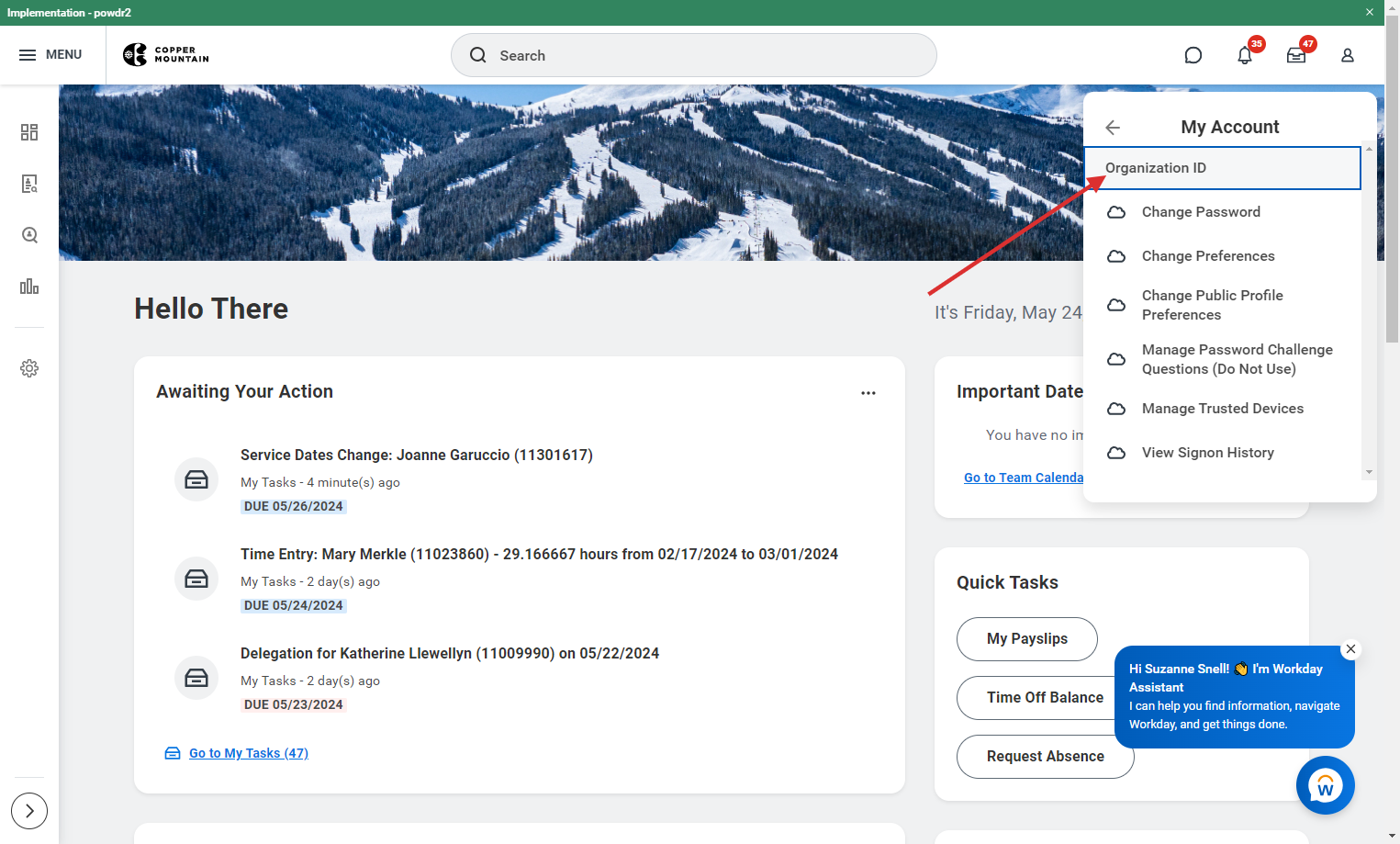 Click on Organization ID