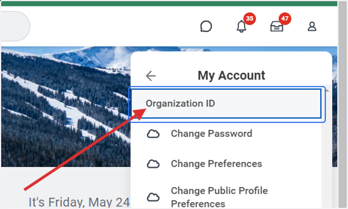 Click on Organization ID