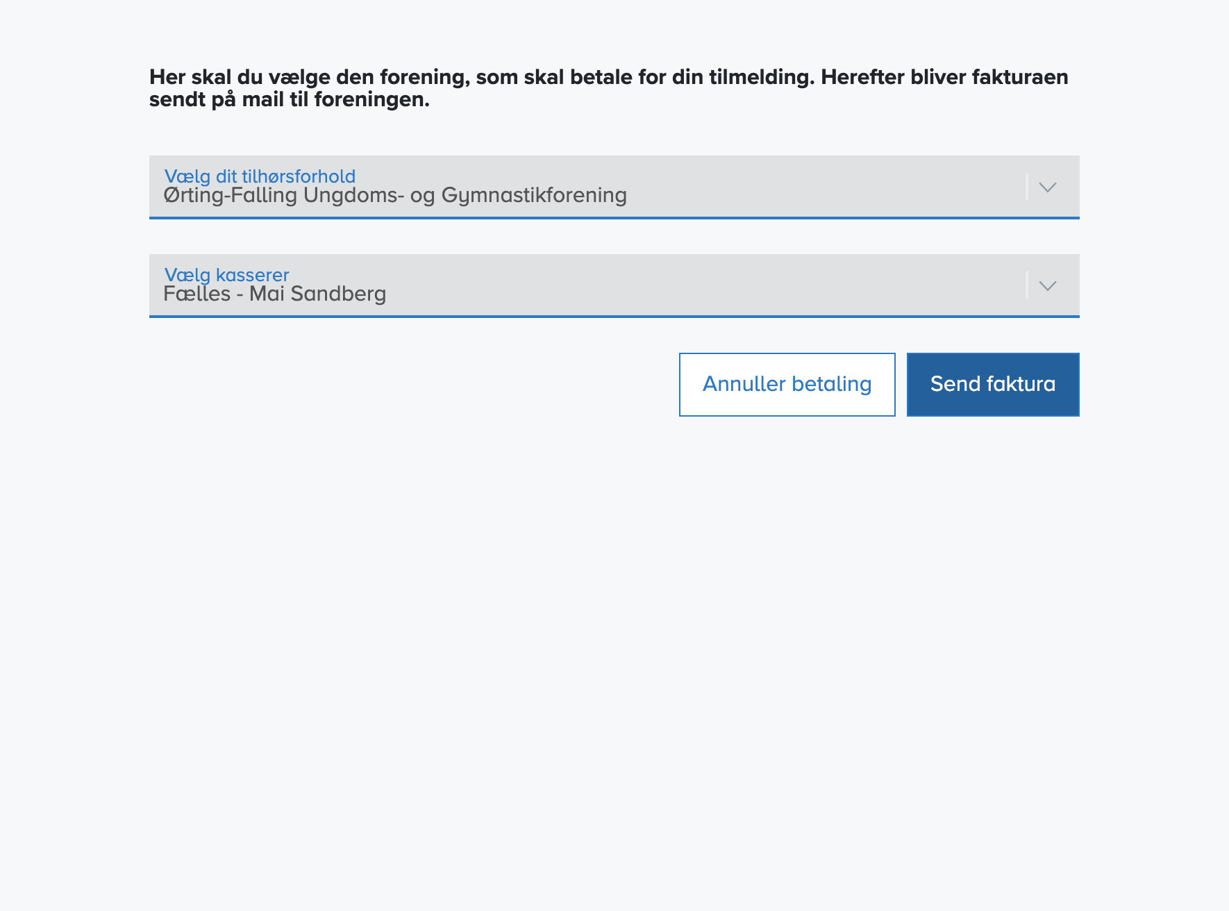 Tjek oplysningerne er korrekte og tryk "Send faktura"