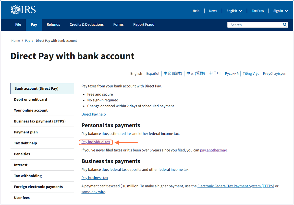 Click on Pay Individual Tax