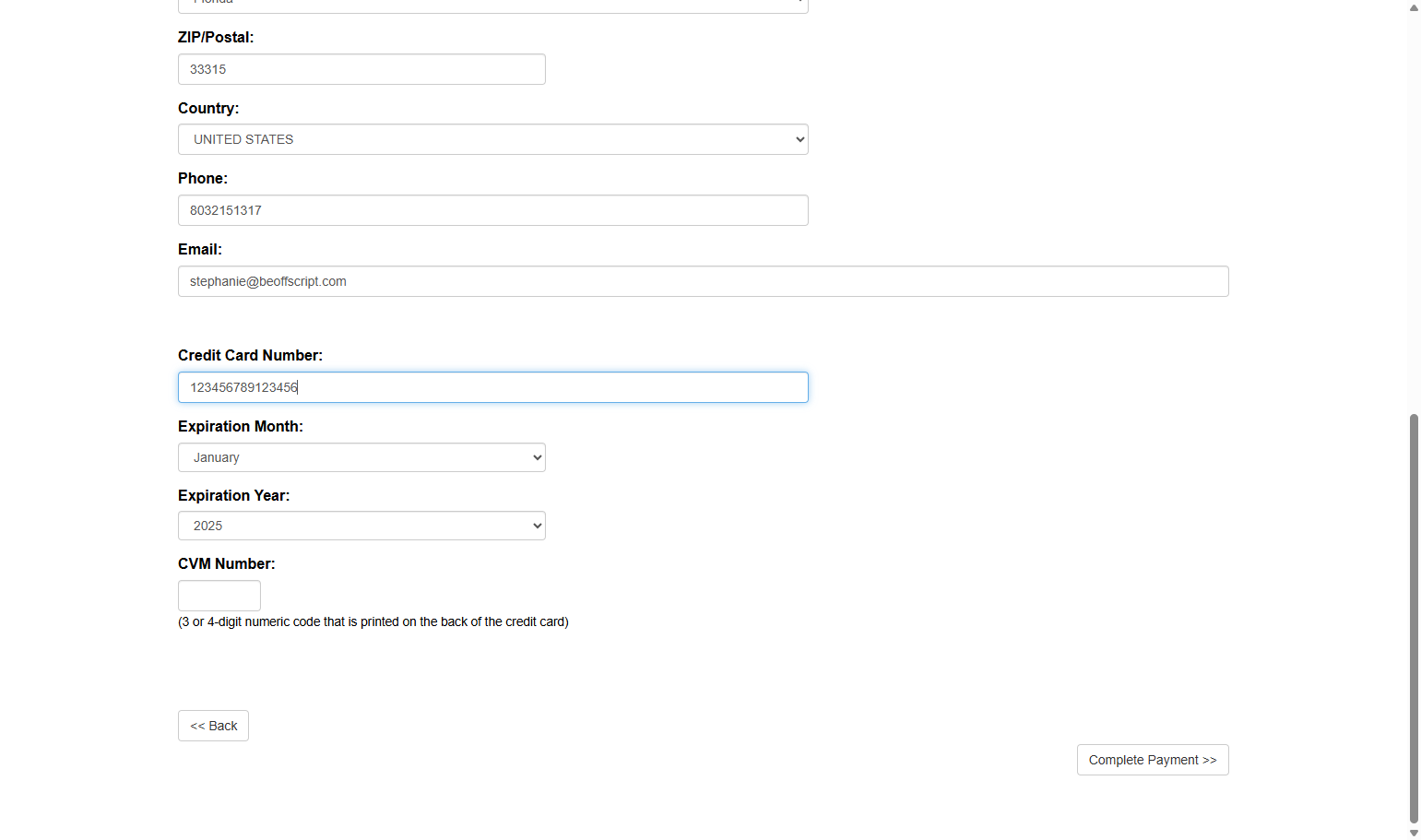 Type your card information