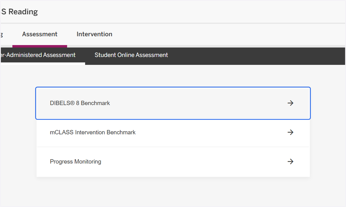 Click on DIBELS® 8 Benchmark