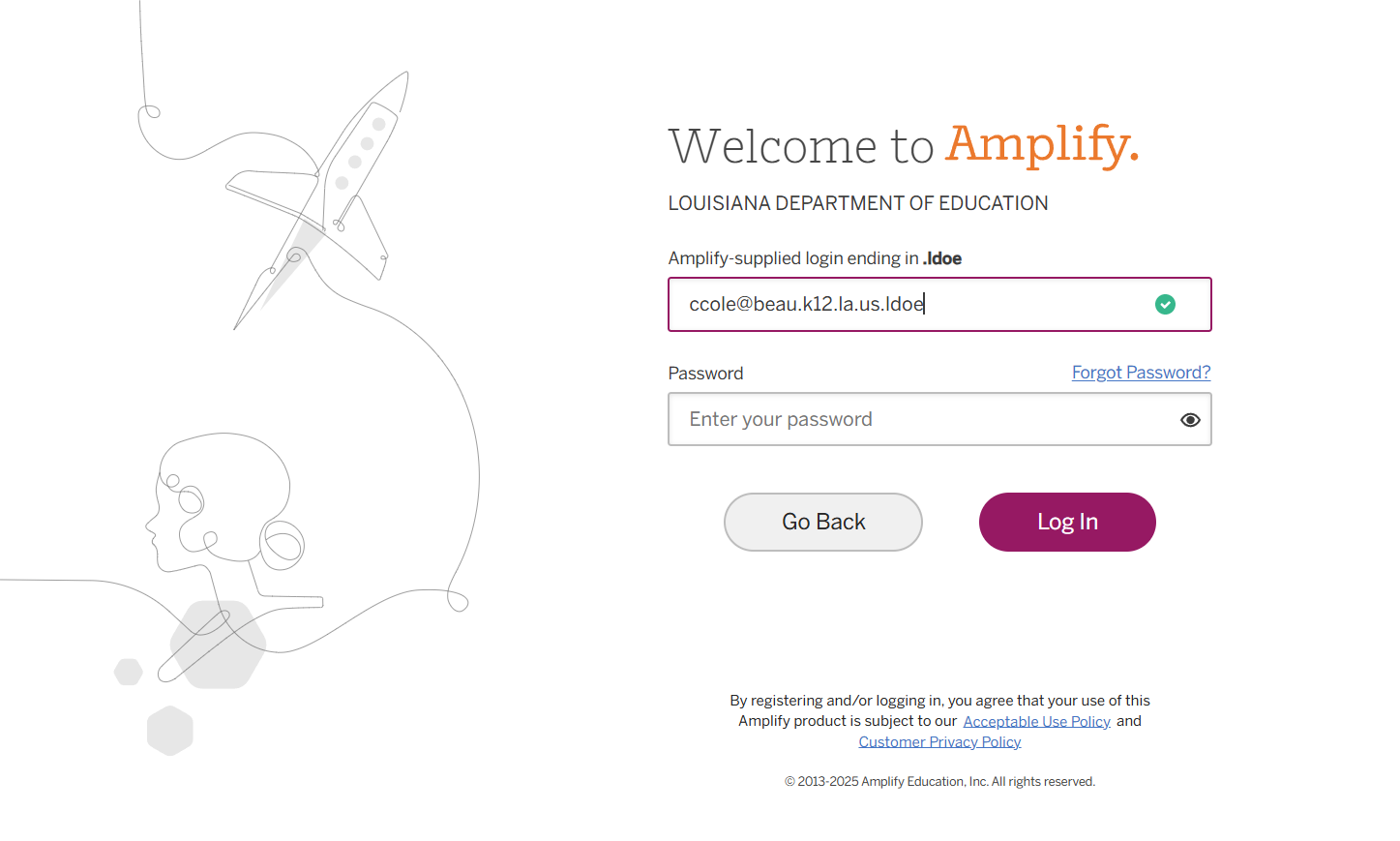 Input your login credentials (remember that your user name must end in ".ldoe").