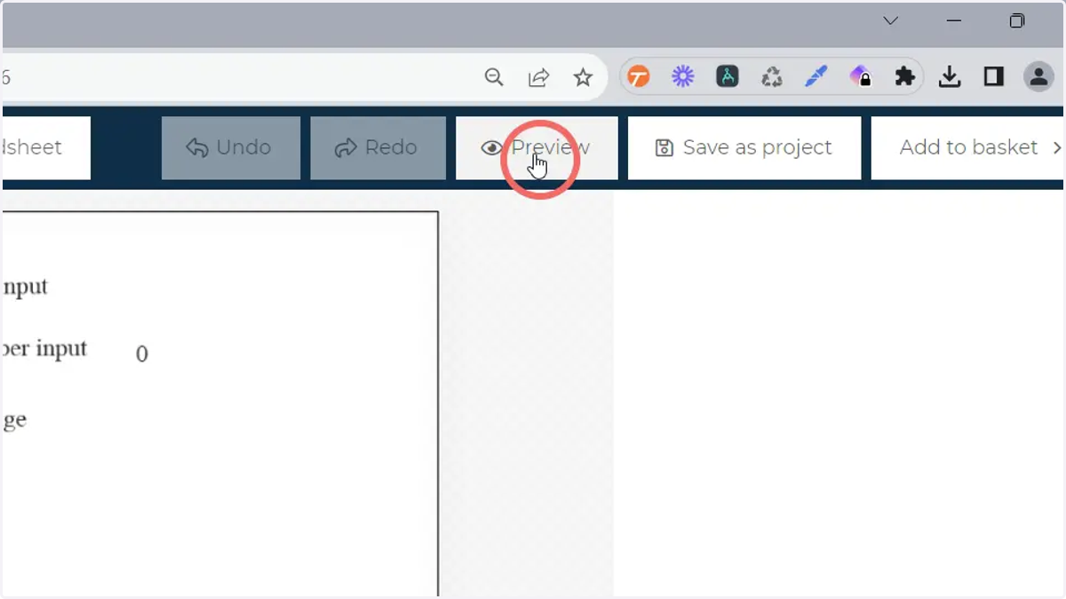The entries input can be previewed by clicking Preview