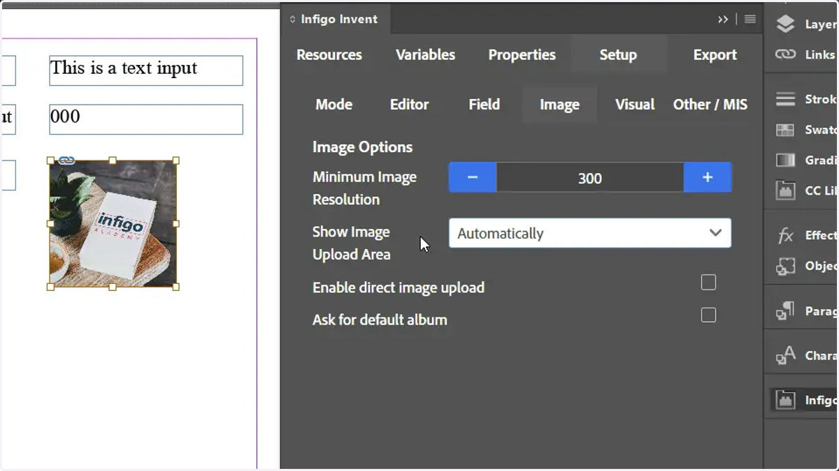 Change Show Image Upload Area to "Automatically"