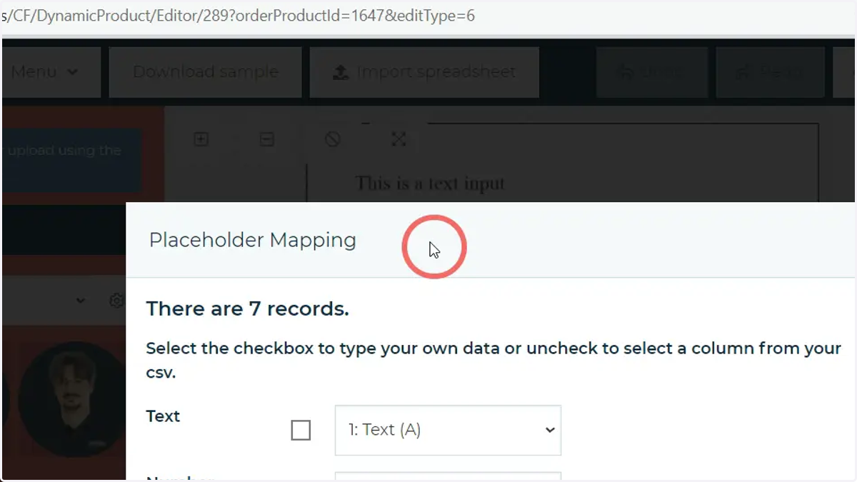 Placeholder Mapping