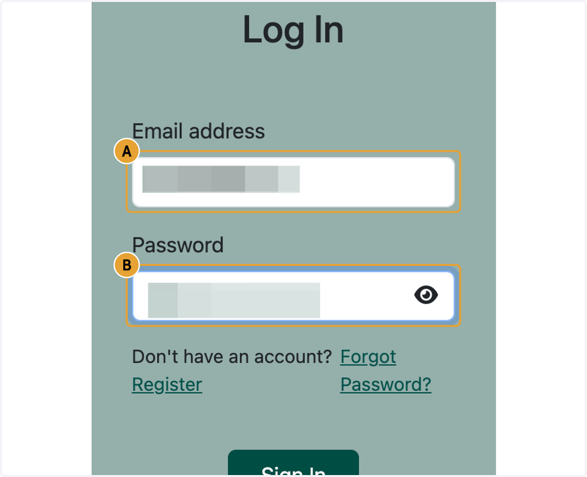 A. Paste text into input B. Type password