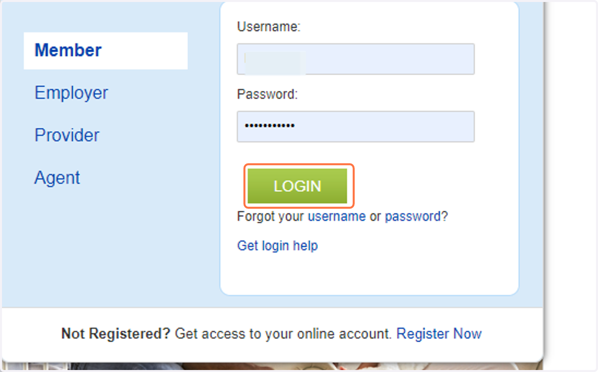 Click on LOGIN