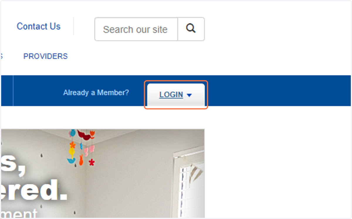 Click on LOGIN