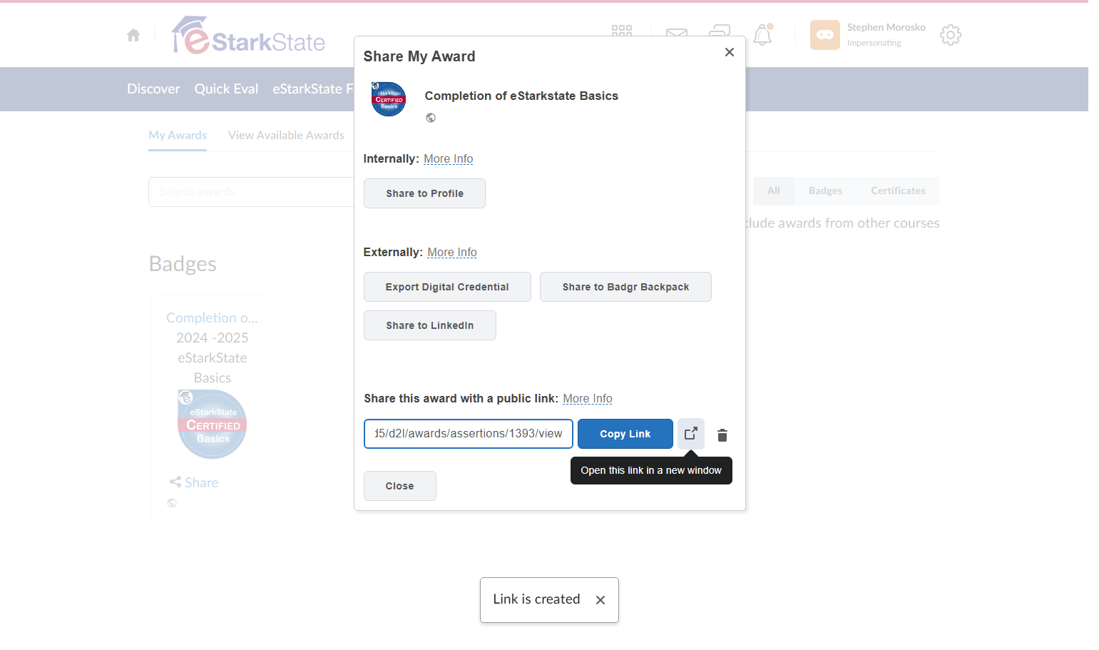 You can either click the Copy Link button, or click on Open this link in a new window