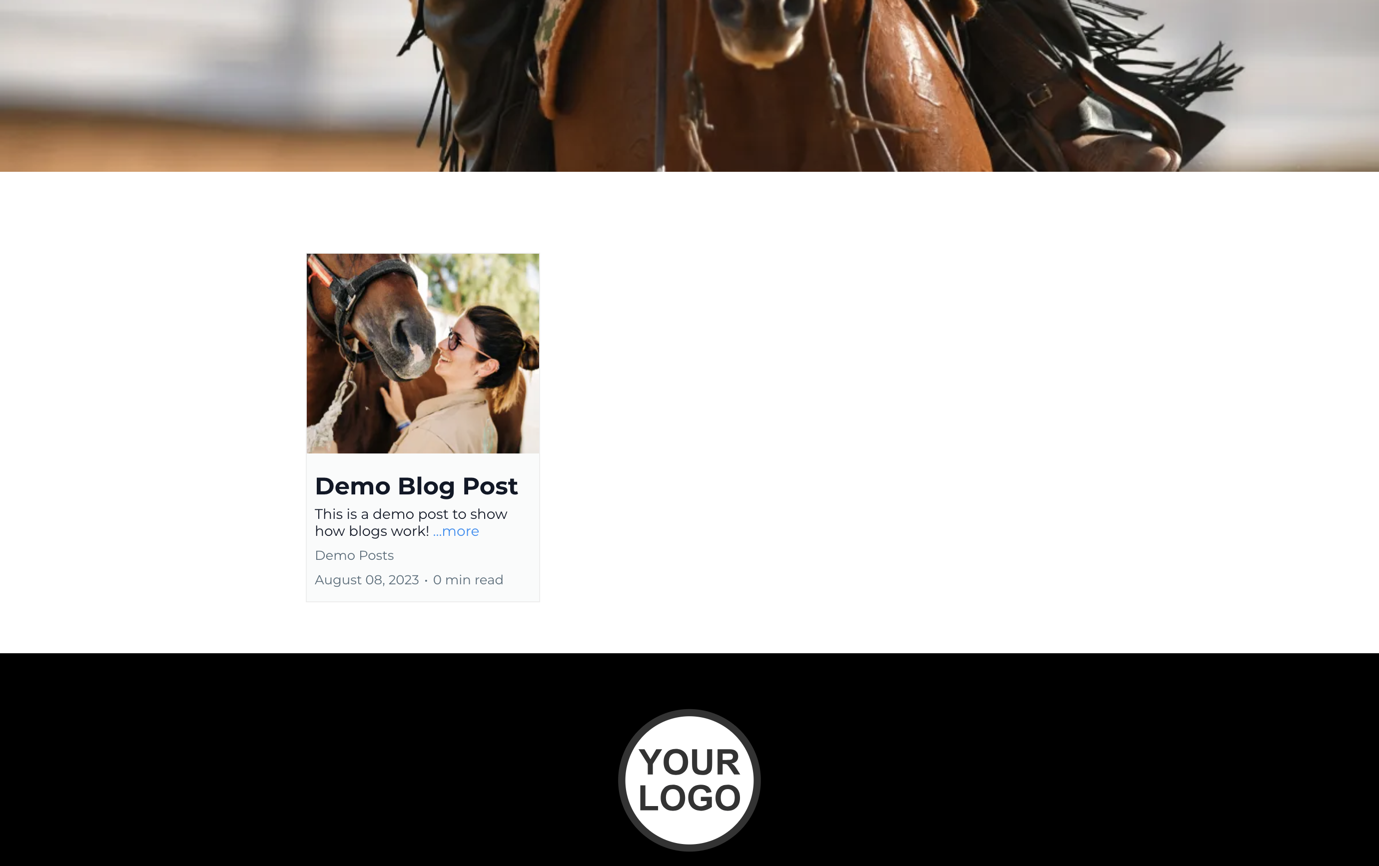 This is an example how the posts will be populated on the frontend