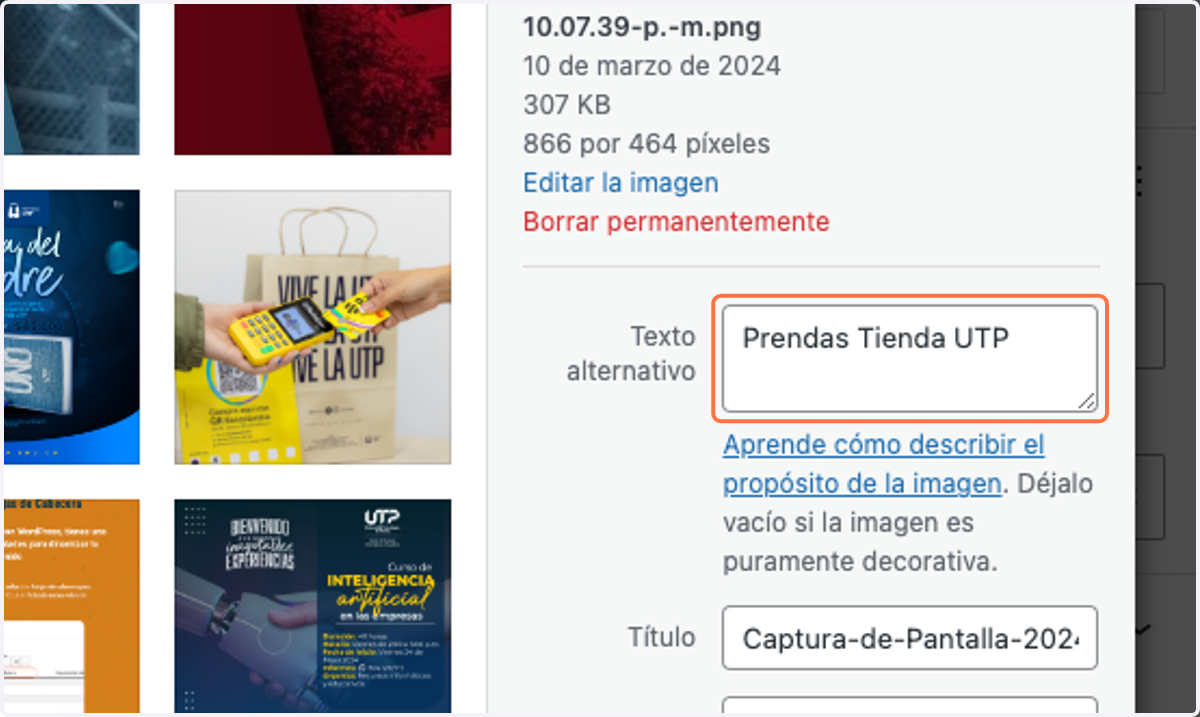 Escribimos el Texto alternativo