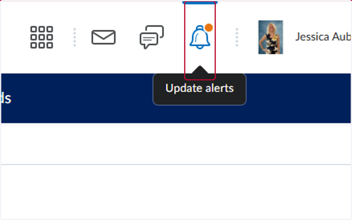 Once the report is completed, you will see an orange dot by the Update Alerts, click on the Update Alerts