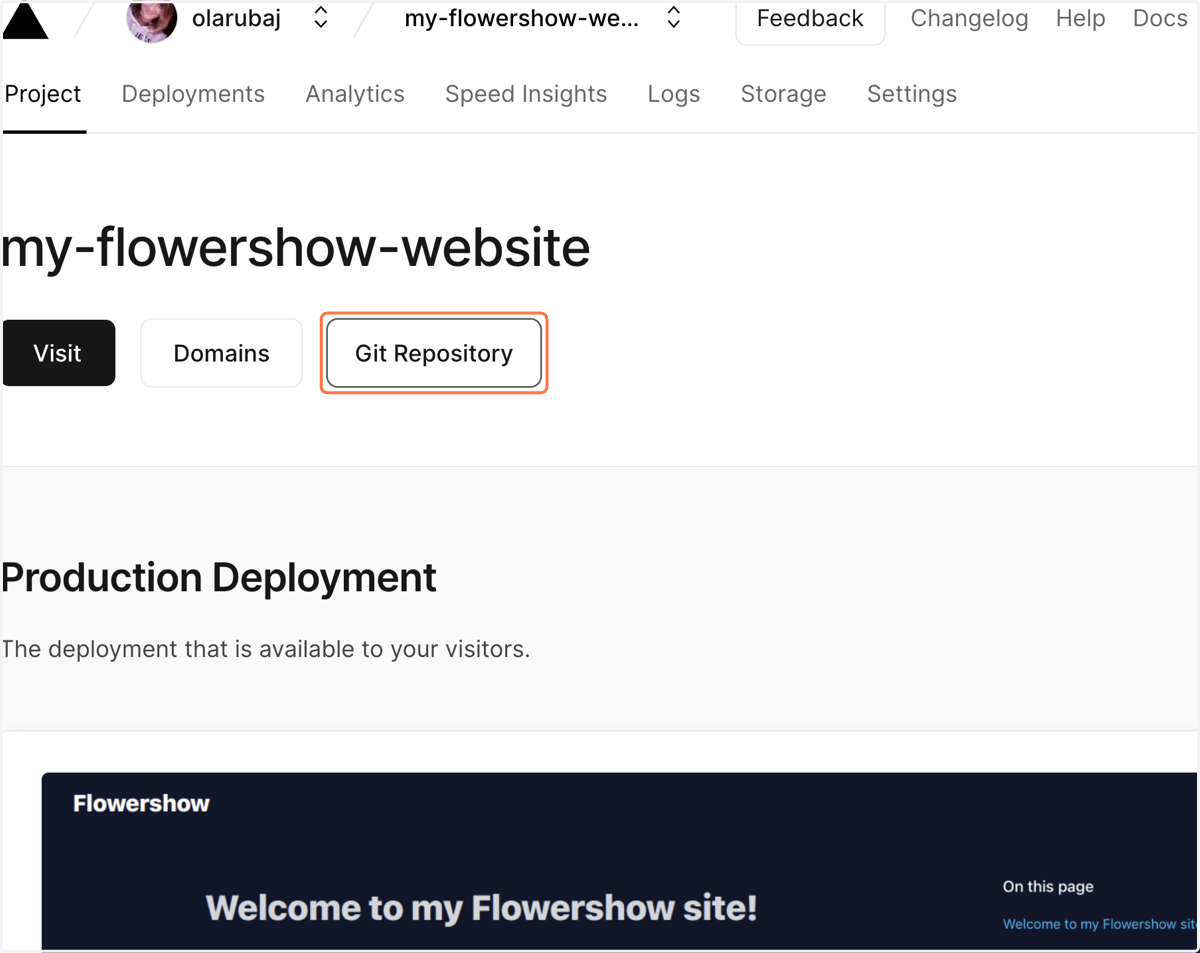Click on "Git Repository".