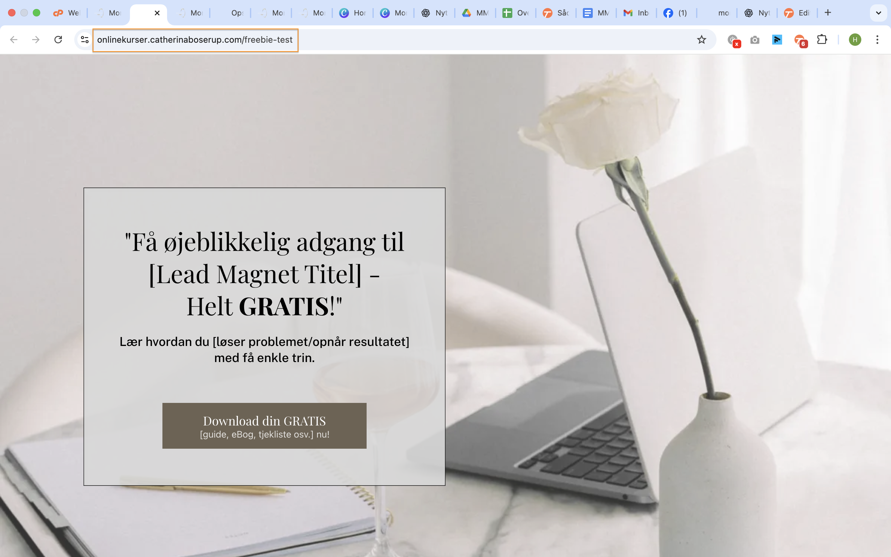 Et nyt vindue åbner med din funnel - gå op i browserstien og kopier linket.