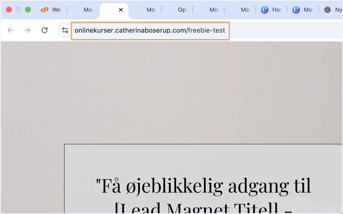 Et nyt vindue åbner med din funnel - gå op i browserstien og kopier linket.