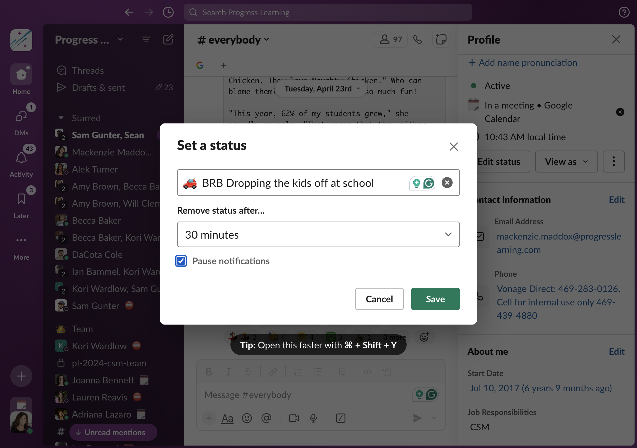 Check Pause notifications if you would like