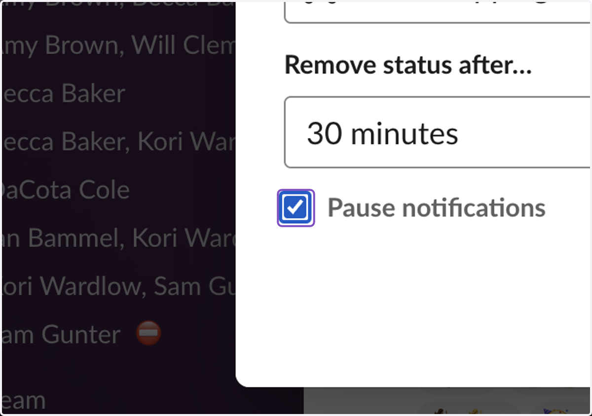 Check Pause notifications if you would like