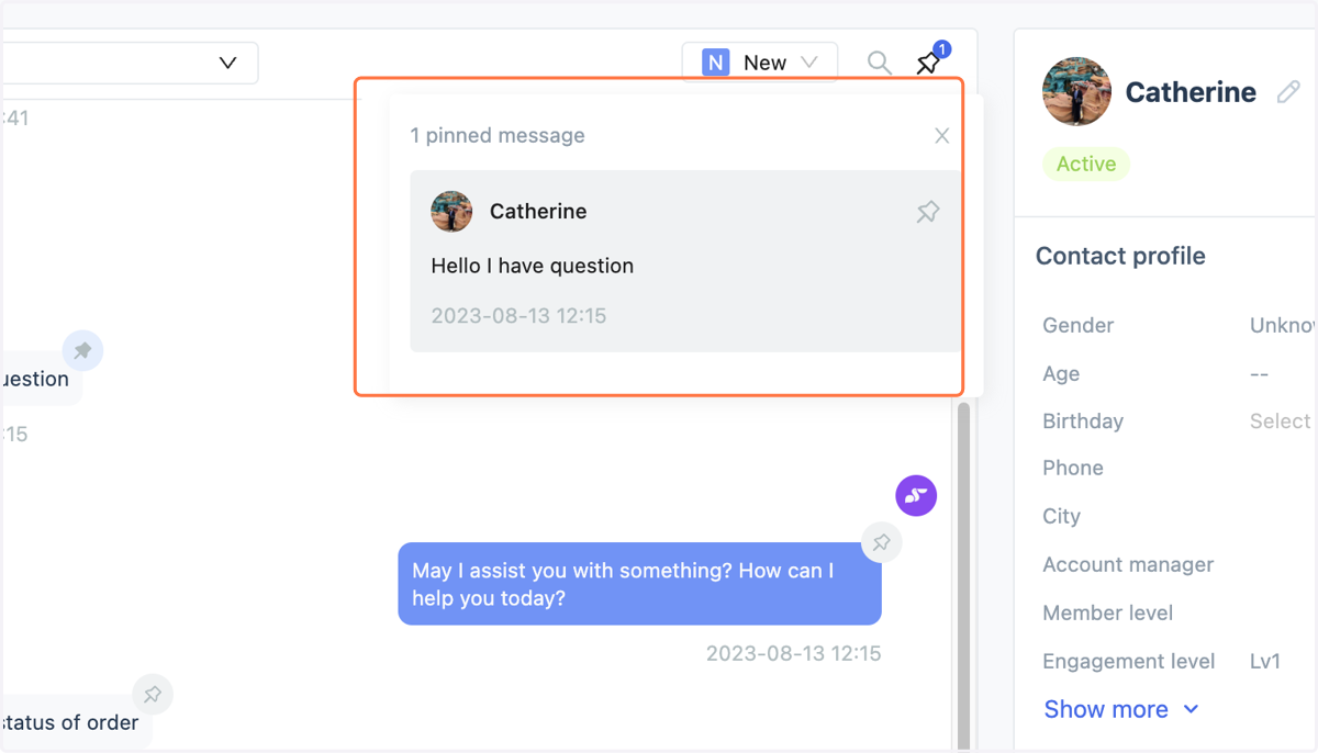 Viewing Pinned Messages