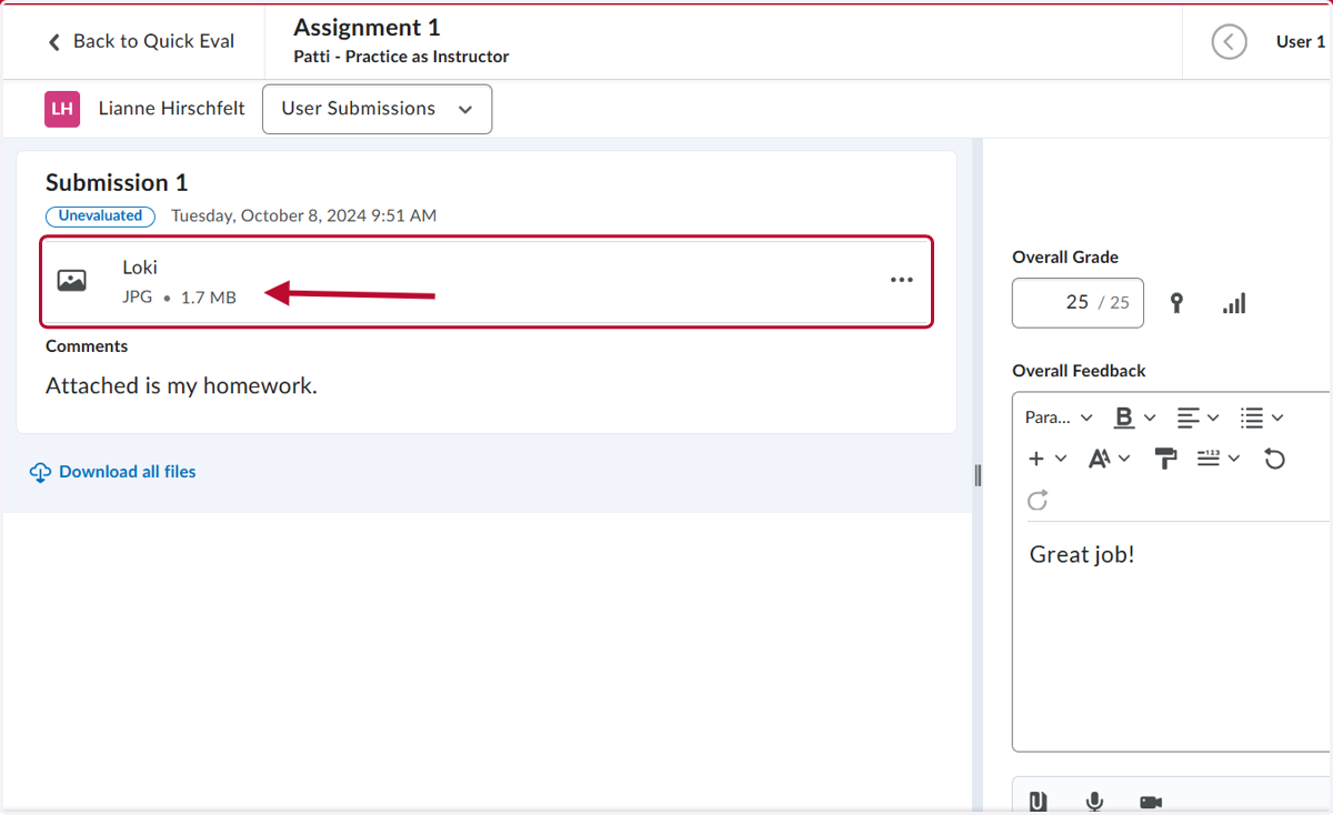 Click on their file to view it in the submission field.
