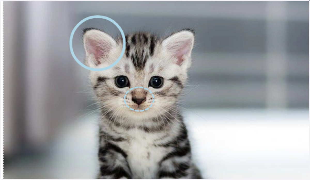 Đối chiếu với đáp án đúng
