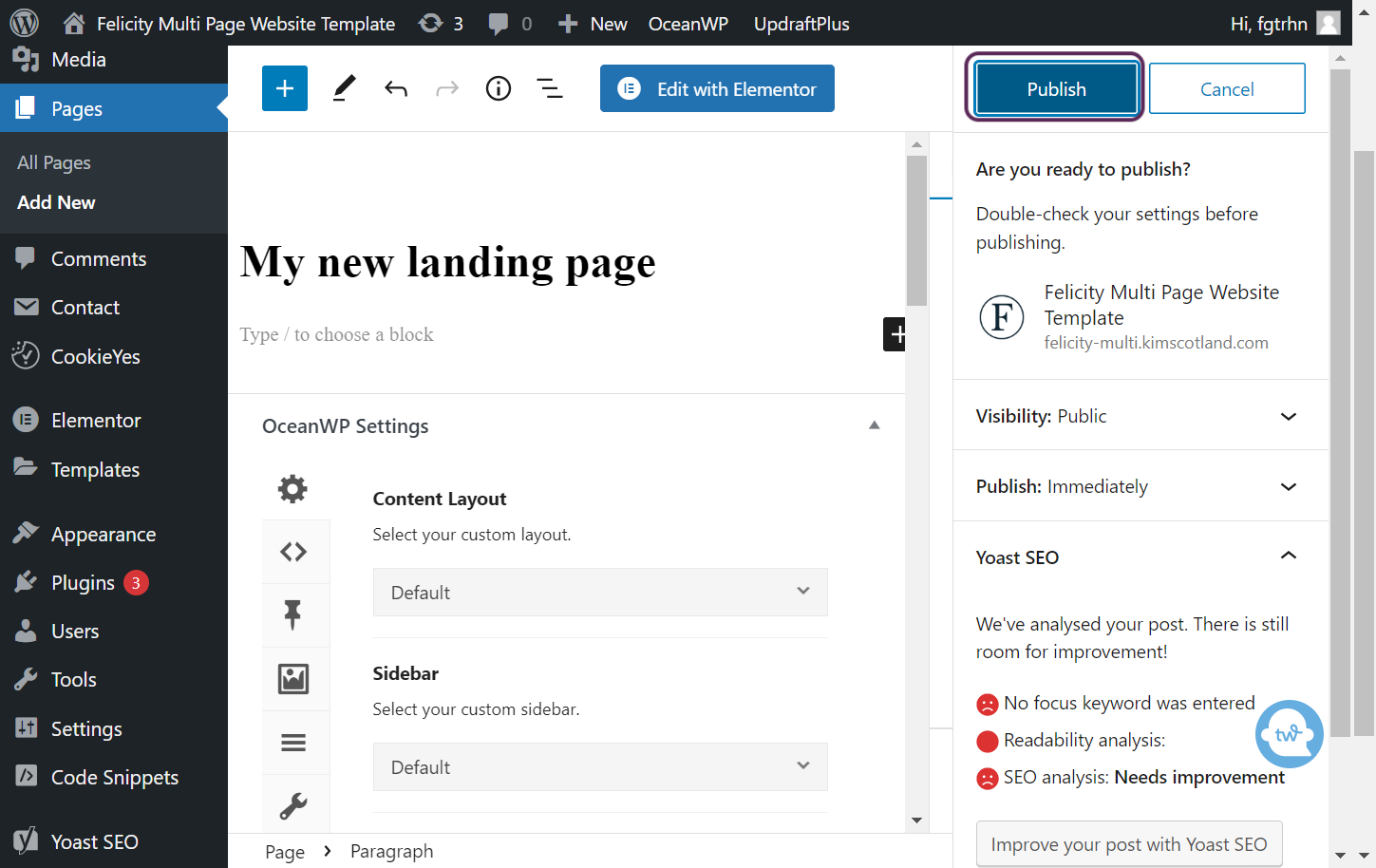 Screenshot of the user clicking the publish button.
