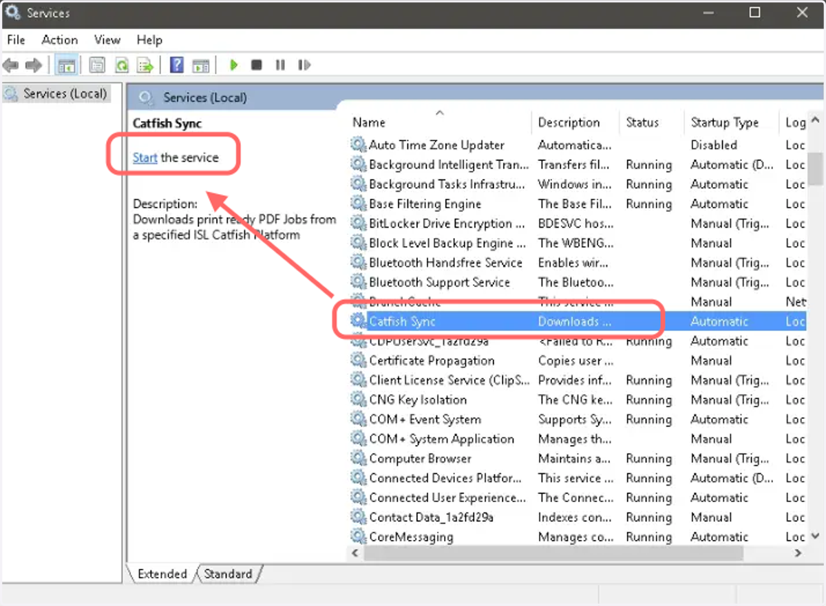 Locate the Catfish Sync service and click Start the service