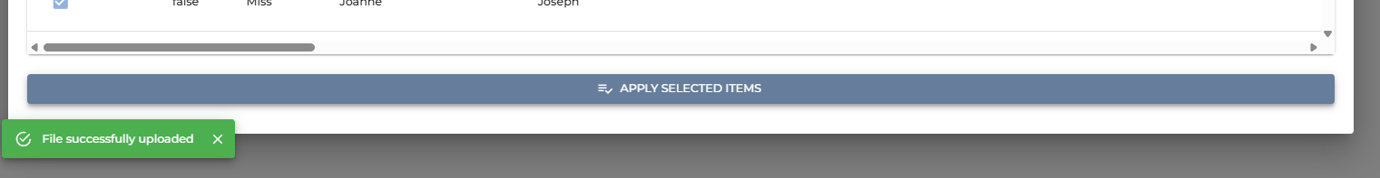 Click on Apply Selected Items and your employee records will be created.