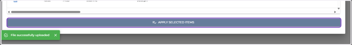 Click on Apply Selected Items and your employee records will be created.