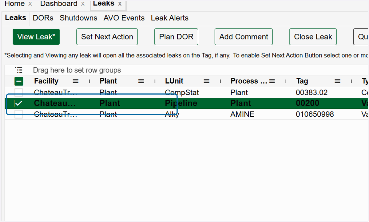 2. Select the leak(s) you wish to close in the grid.