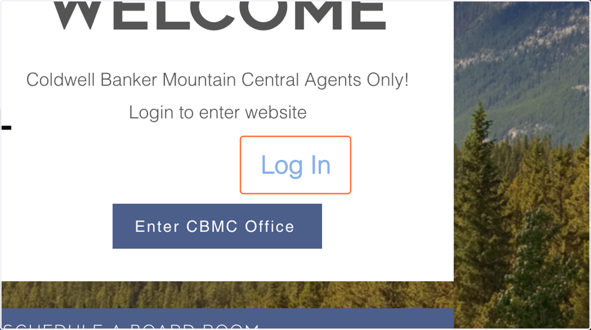 Click on Log In