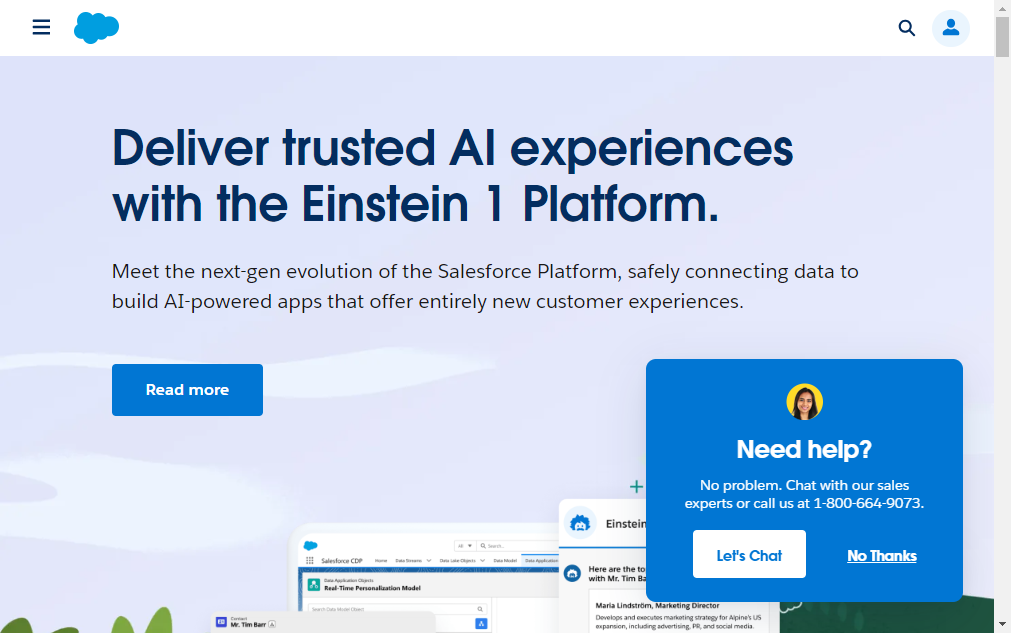 Go to Salesforce.com