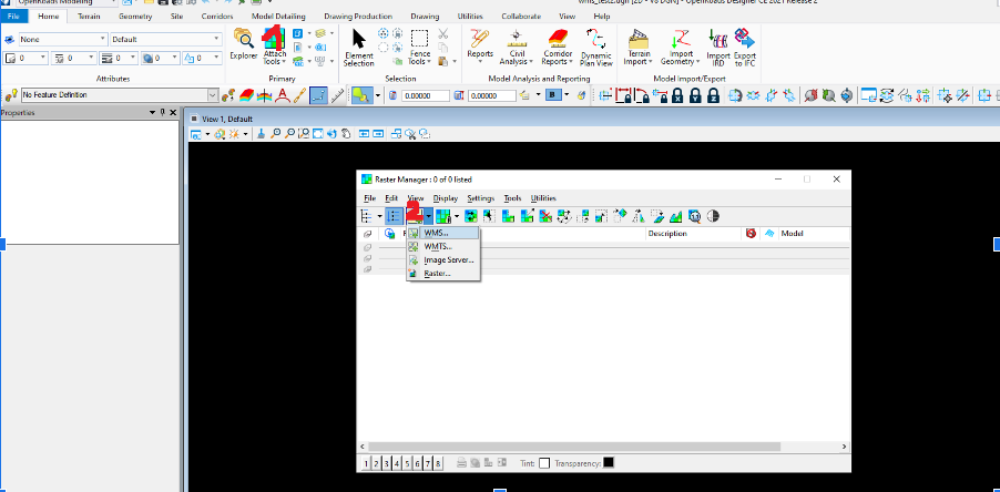 Select WMS option in the raster manager window